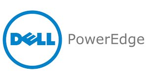 Dell Server Configure Raid