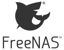 Freenas the installation and ip configuration