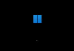 Windows 11 Kurulumu